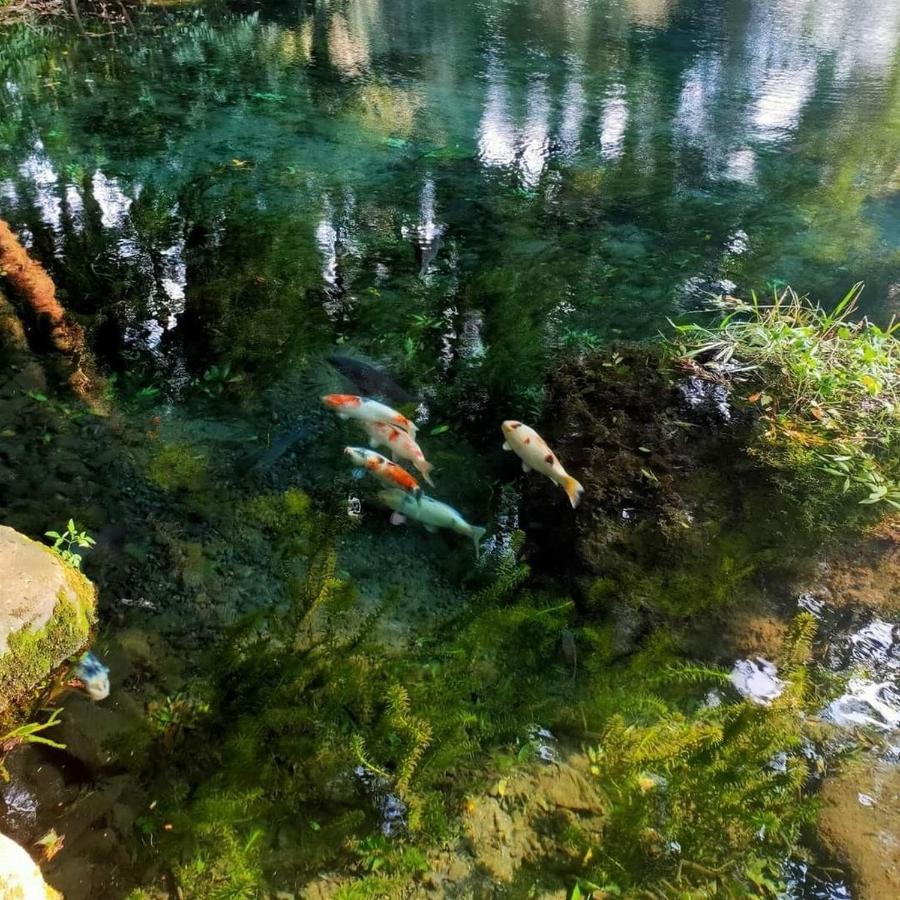 Momiji Hostel 南阿蘇村 エクステリア 写真