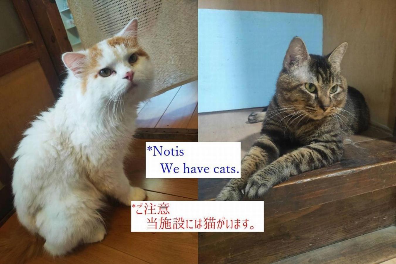 Momiji Hostel 南阿蘇村 エクステリア 写真
